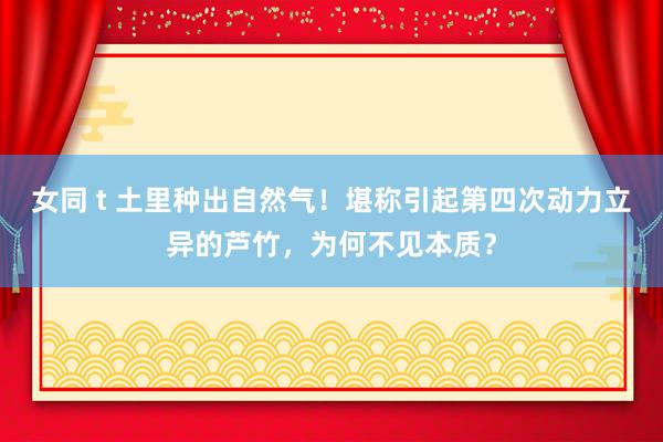 女同 t 土里种出自然气！堪称引起第四次动力立异的芦竹，为何不见本质？