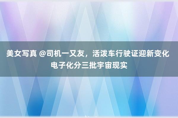 美女写真 @司机一又友，活泼车行驶证迎新变化 电子化分三批宇宙现实