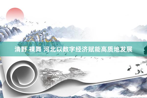 清野 裸舞 河北以数字经济赋能高质地发展