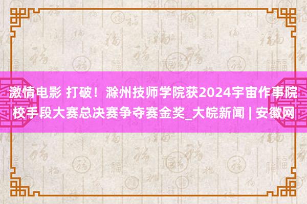 激情电影 打破！滁州技师学院获2024宇宙作事院校手段大赛总决赛争夺赛金奖_大皖新闻 | 安徽网