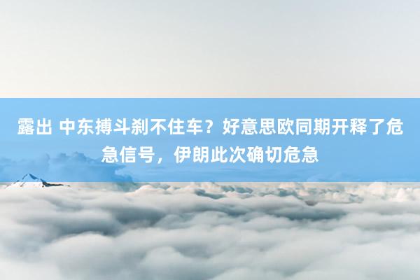 露出 中东搏斗刹不住车？好意思欧同期开释了危急信号，伊朗此次确切危急