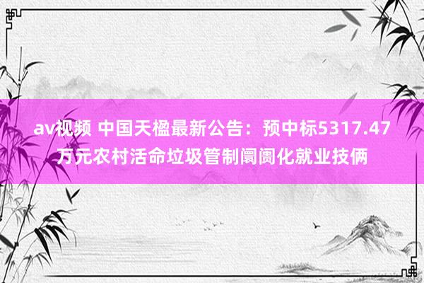 av视频 中国天楹最新公告：预中标5317.47万元农村活命垃圾管制阛阓化就业技俩