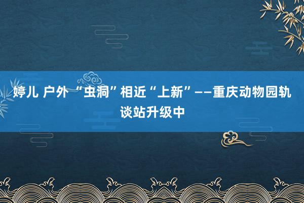 婷儿 户外 “虫洞”相近“上新”——重庆动物园轨谈站升级中