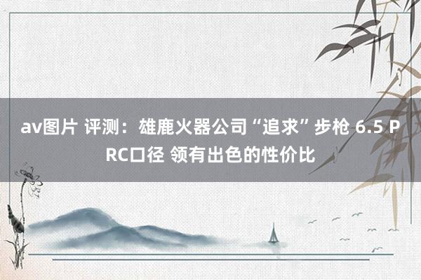 av图片 评测：雄鹿火器公司“追求”步枪 6.5 PRC口径 领有出色的性价比