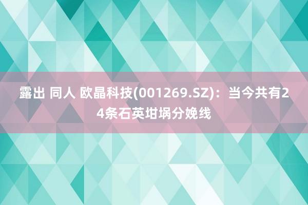 露出 同人 欧晶科技(001269.SZ)：当今共有24条石英坩埚分娩线