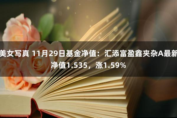 美女写真 11月29日基金净值：汇添富盈鑫夹杂A最新净值1.535，涨1.59%