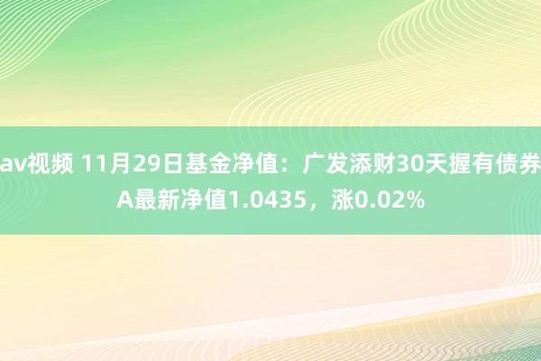 av视频 11月29日基金净值：广发添财30天握有债券A最新净值1.0435，涨0.02%