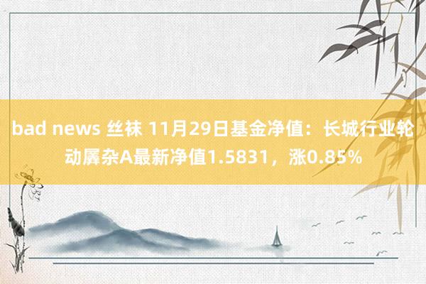 bad news 丝袜 11月29日基金净值：长城行业轮动羼杂A最新净值1.5831，涨0.85%