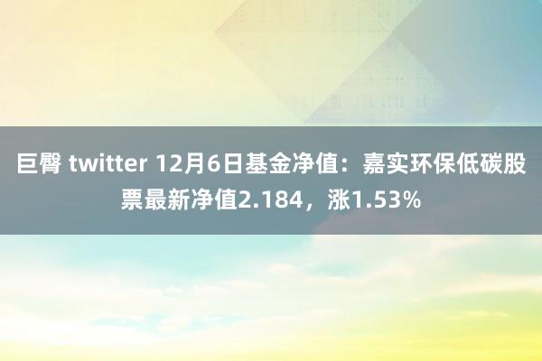 巨臀 twitter 12月6日基金净值：嘉实环保低碳股票最新净值2.184，涨1.53%