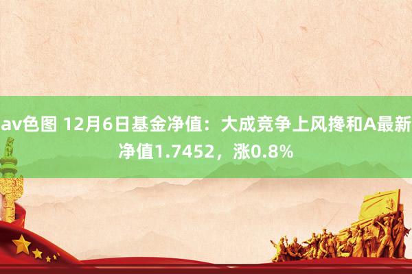 av色图 12月6日基金净值：大成竞争上风搀和A最新净值1.7452，涨0.8%