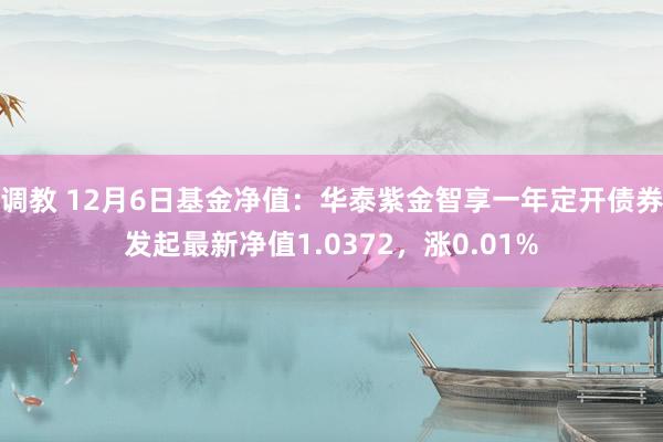 调教 12月6日基金净值：华泰紫金智享一年定开债券发起最新净值1.0372，涨0.01%