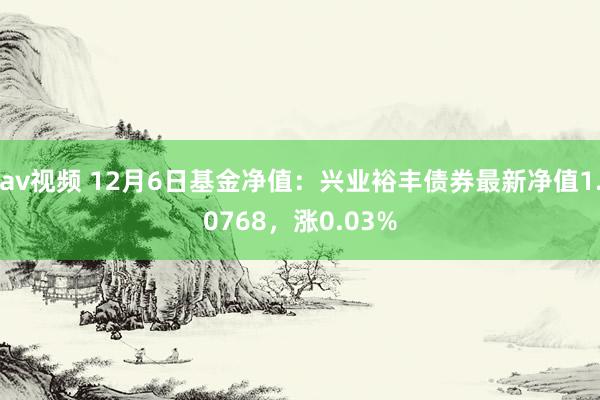 av视频 12月6日基金净值：兴业裕丰债券最新净值1.0768，涨0.03%