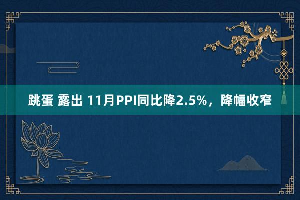 跳蛋 露出 11月PPI同比降2.5%，降幅收窄