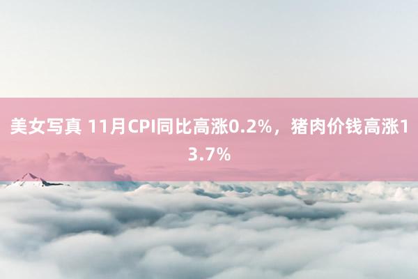 美女写真 11月CPI同比高涨0.2%，猪肉价钱高涨13.7%