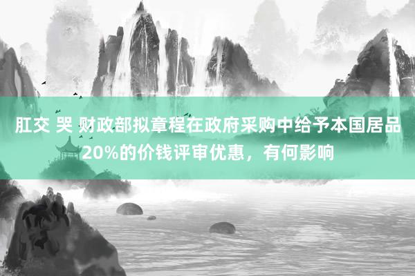 肛交 哭 财政部拟章程在政府采购中给予本国居品20%的价钱评审优惠，有何影响