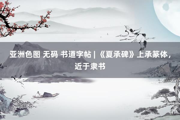 亚洲色图 无码 书道字帖 | 《夏承碑》上承篆体，近于隶书