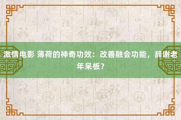 激情电影 薄荷的神奇功效：改善融会功能，辞谢老年呆板？