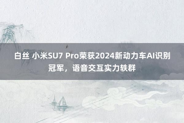 白丝 小米SU7 Pro荣获2024新动力车AI识别冠军，语音交互实力轶群