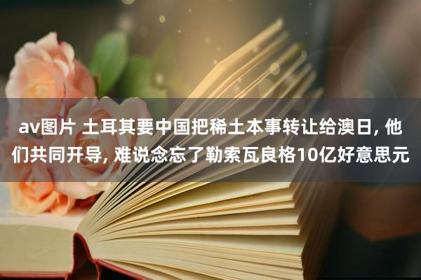 av图片 土耳其要中国把稀土本事转让给澳日， 他们共同开导， 难说念忘了勒索瓦良格10亿好意思元