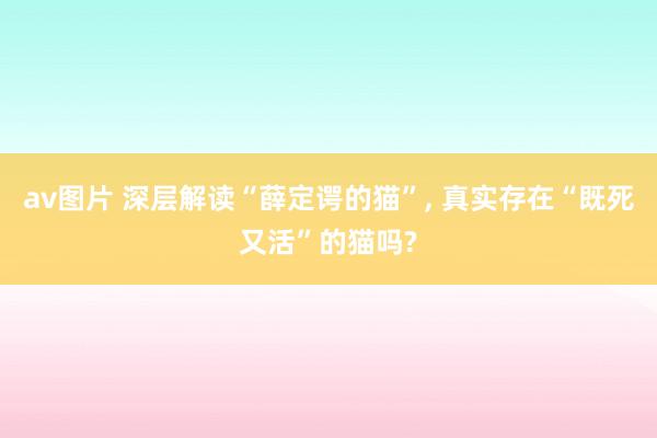 av图片 深层解读“薛定谔的猫”， 真实存在“既死又活”的猫吗?