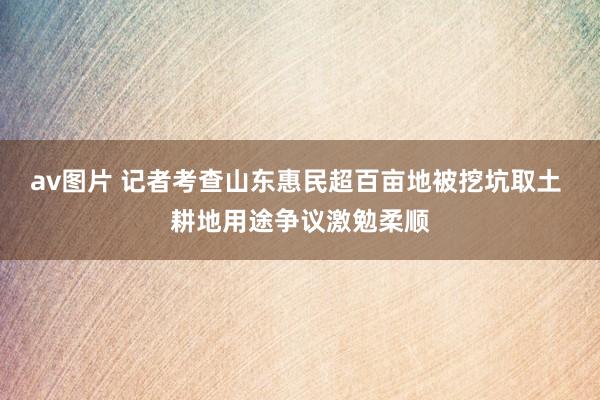 av图片 记者考查山东惠民超百亩地被挖坑取土 耕地用途争议激勉柔顺