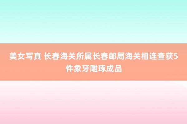 美女写真 长春海关所属长春邮局海关相连查获5件象牙雕琢成品