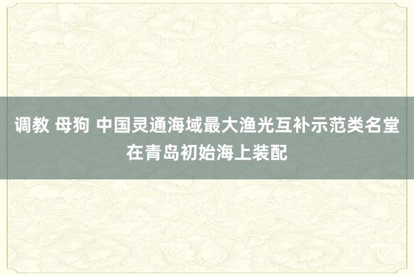 调教 母狗 中国灵通海域最大渔光互补示范类名堂在青岛初始海上装配