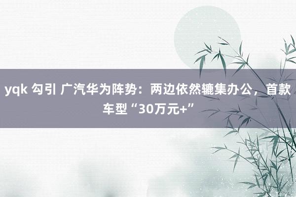 yqk 勾引 广汽华为阵势：两边依然辘集办公，首款车型“30万元+”