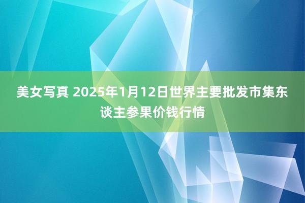 美女写真 2025年1月12日世界主要批发市集东谈主参果价钱行情