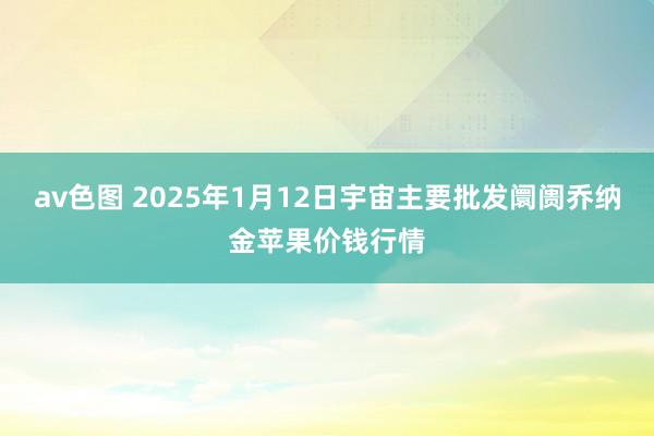 av色图 2025年1月12日宇宙主要批发阛阓乔纳金苹果价钱行情