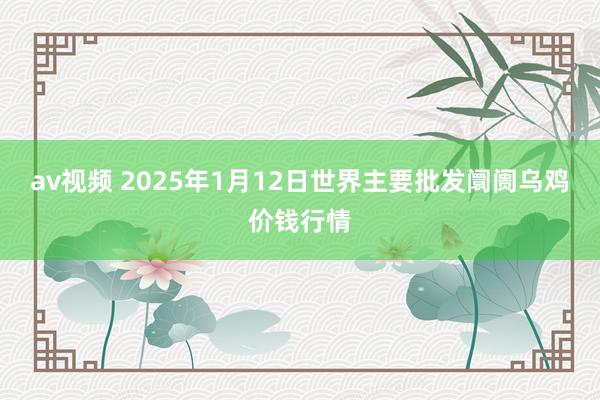 av视频 2025年1月12日世界主要批发阛阓乌鸡价钱行情