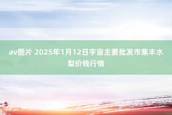 av图片 2025年1月12日宇宙主要批发市集丰水梨价钱行情