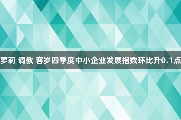 萝莉 调教 客岁四季度中小企业发展指数环比升0.1点