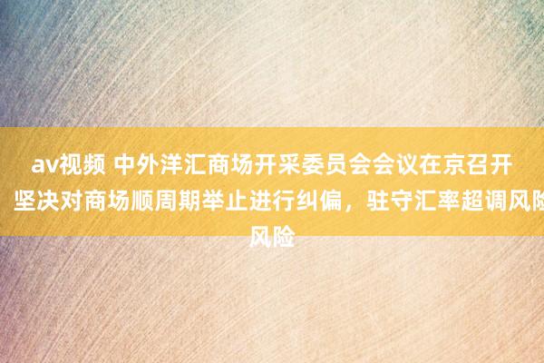 av视频 中外洋汇商场开采委员会会议在京召开：坚决对商场顺周期举止进行纠偏，驻守汇率超调风险