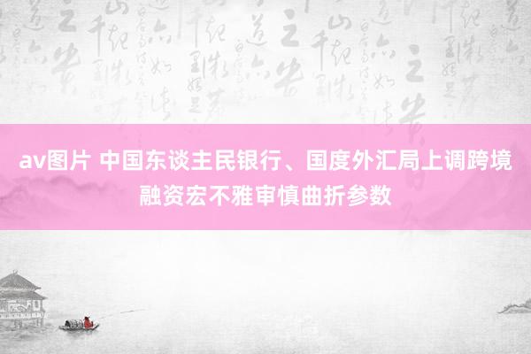 av图片 中国东谈主民银行、国度外汇局上调跨境融资宏不雅审慎曲折参数