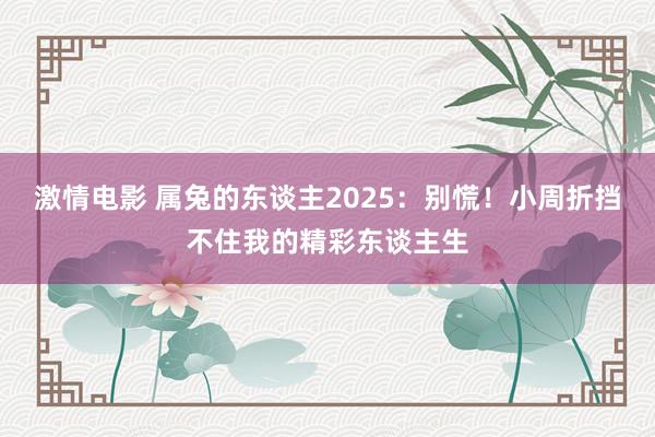 激情电影 属兔的东谈主2025：别慌！小周折挡不住我的精彩东谈主生