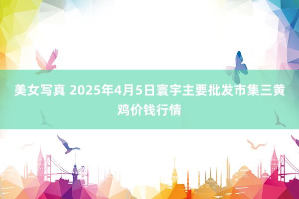 美女写真 2025年4月5日寰宇主要批发市集三黄鸡价钱行情